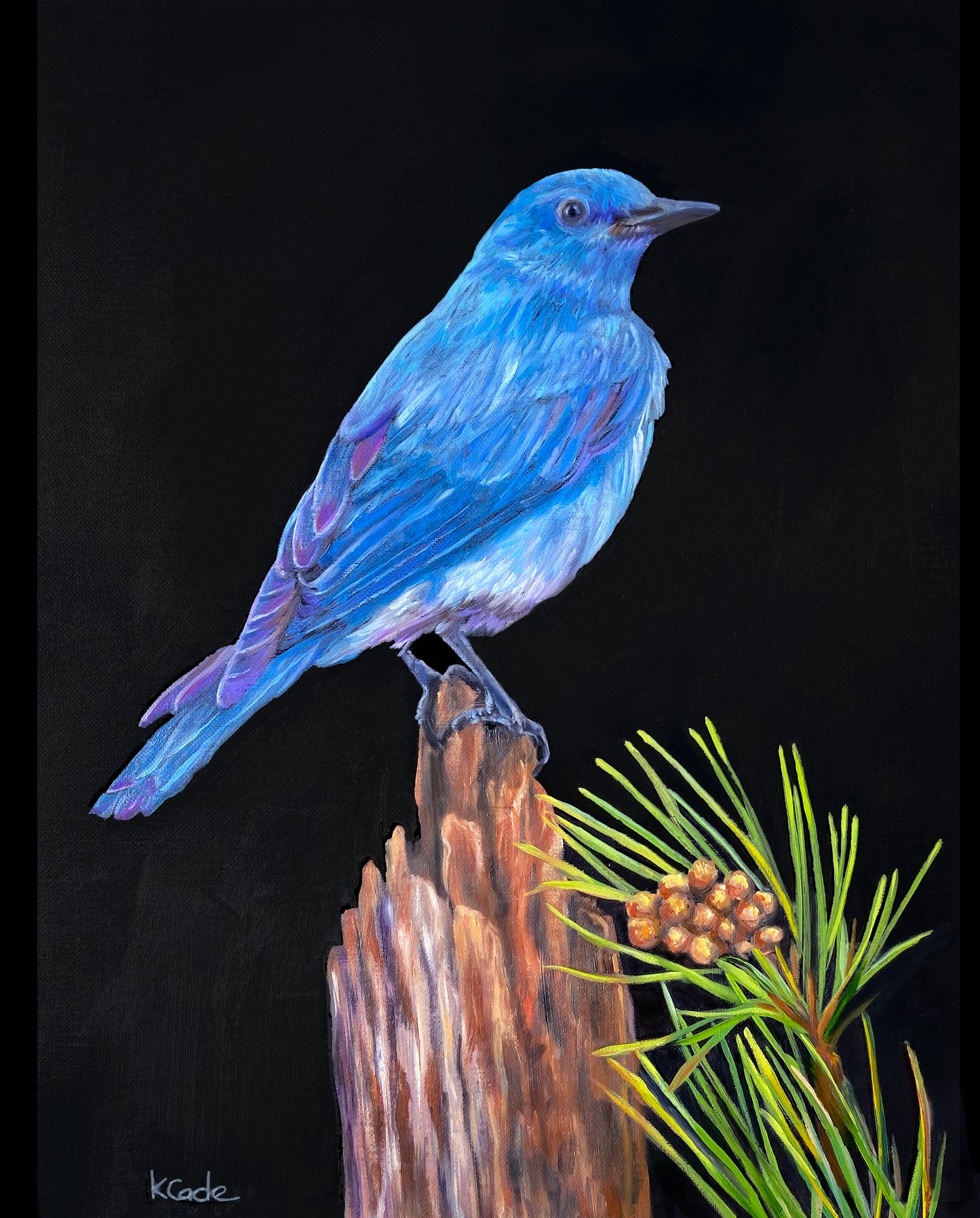 Bluebird Spirit - Card