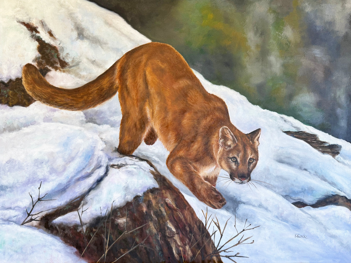 Winter Prowl - Origianl