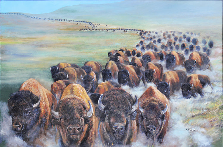 Buffalo Stampede - Card