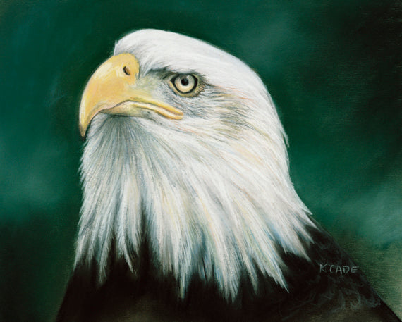 Eagle Eye